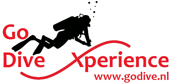 Go Dive Experience